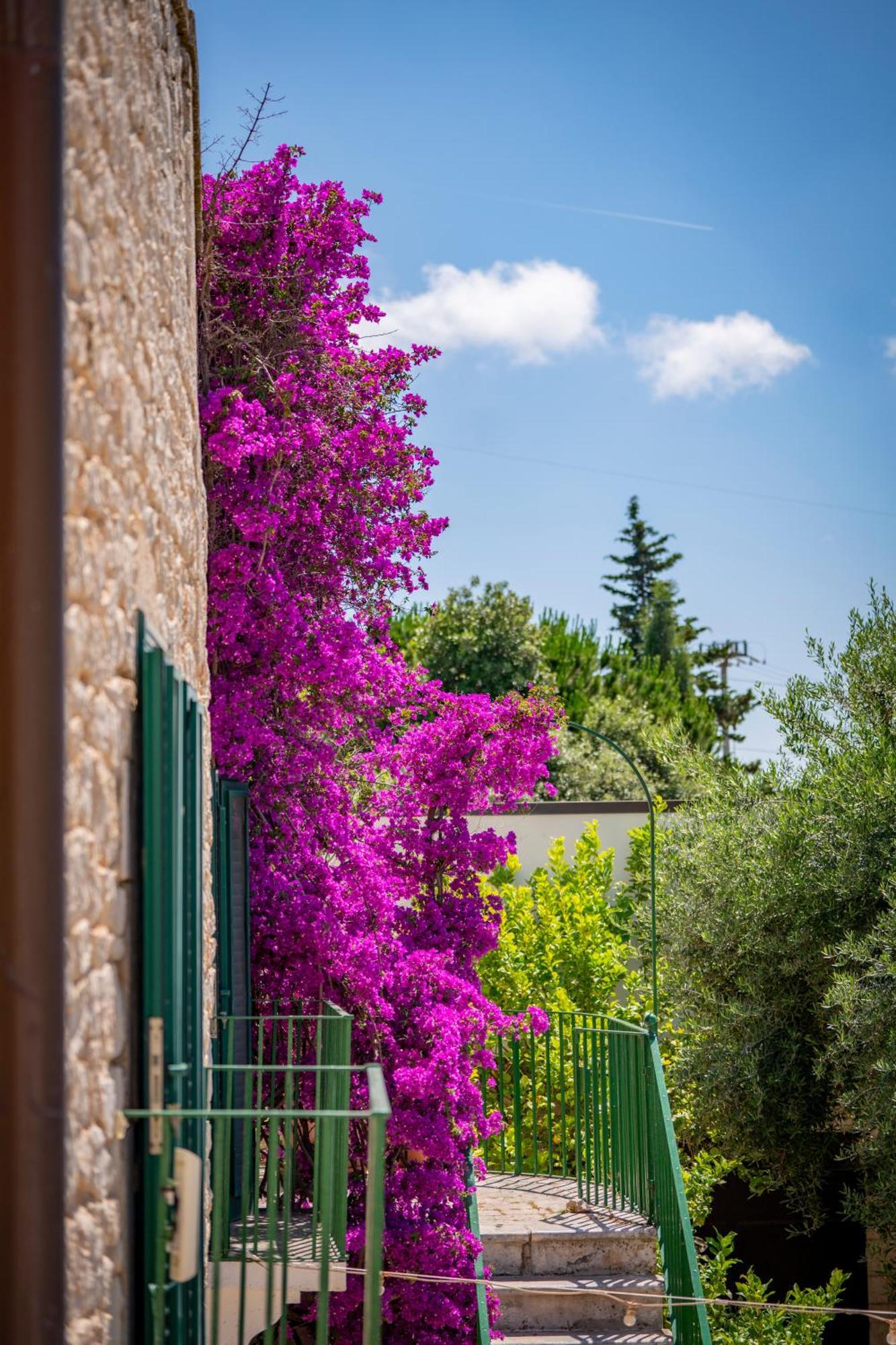 Masseria Montepaolo Dimora Di Charme Conversano Exterior photo